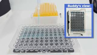 Buddy: Pick \u0026 Place and Pipetting Workflow