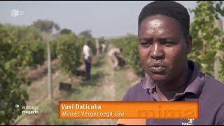 ZDF Mittagsmagazin zu Gast beim Weingut Vergenoegd Loew