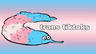 trans tiktok compilation