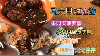 马来西亚退休带娃生活129:马六甲果园买的菠萝蜜好大个又价平，村口小店一顿丰盛午餐只有24块，马接新村浓浓的华人生活氛围，拜访80多年历史的琼源香面包厂，虽然没有对外营业，但是依旧可以买到好吃的面包干