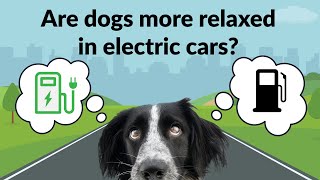 Do Dogs Prefer Electric Cars? CarGurus worked with the University of Lincoln to find out