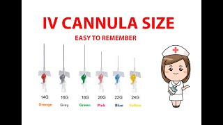 How do you memorise IV Cannula size/ Easy method (visual mnemonic)