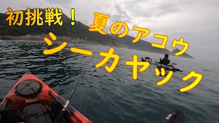 夏のアコウ！カヤックフィッシング（日本海釣行）