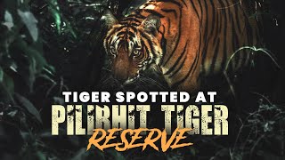 Pilibhit Tiger Reserve Chuka 2022 | Complete Guide Cinematic Travel Vlog | Tiger Spotted in Pilibhit