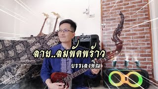 ลาย..ลมพัดพร้าว|บรรเลงพิณ|หนิง ซิงกิ รีวิวบรรเลง|ningsingi