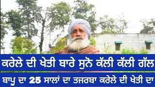 ਕਰੇਲੇ ਦੀ ਖੇਤੀ ਬਾਰੇ ਸੁਨੋ ਕੱਲੀ ਕੱਲੀ ਗੱਲ || karela farming | ਬਾਪੂ ਦਾ 25 ਸਾਲਾਂ ਦਾ ਤਜਰਬਾ ਕਰੇਲੇ ਦੀ ਖੇਤੀ ਦਾ