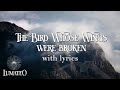 The Bird Whose Wings Were Broken 🕊 Jacob Hauge Mateo & Anne Louise Aremark (LUMATEO) ACIM