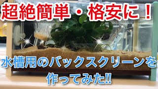 超絶簡単・格安に！水槽用のバックスクリーンを作ってみた!!(#アクアリウム #熱帯魚 飼育等に)