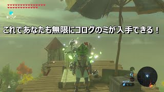 コログのミを無限入手する裏ワザ【ゼルダの伝説 ブレス オブ ザ ワイルド】