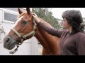 Vivid Frame Media - Horse Play Video for Mercy Foundation