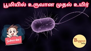 பூமியில் முதல் முதலில் உருவான உயிரினம் எது?-ScienceTube