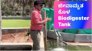 Biodigester cement tank construction.ಜೀವಾಮ್ರುತ ಕೊಳ ಕಟ್ಟುವುದು. Dr C Sharath Kumar, Rajeshwari Farm.