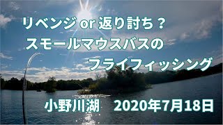 リベンジ or 返り討ち？スモールマウスバスのフライフィッシング（小野川湖）2020年7月18日