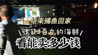 结束两天两夜的捕鱼回去卖鱼，收获了300斤海鲜，看能卖多少钱