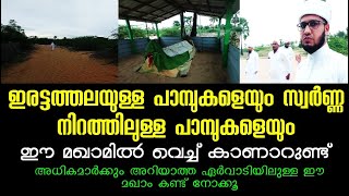 #alziyarah #അടഞ്ചേരിദർഗ #ziyarat അടഞ്ചേരി ദർഗ|ശൈഖ് ശഹീദ് മുഹമ്മദ് (റ)|Vlog#135