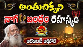 నాగ బంధం గురించి అసలైన నిజాలు ... | Aravind Aghora Reveals Secrets Of Naga Bandham | SamskruthiTv