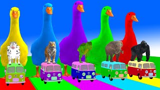 5 Giant Duck Cartoon,Cow,Elephant,Tiger,Lion,Dinosaur,Paint Wild Animals Crossing Fountain Animation