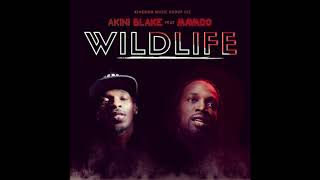 Akini Blake - Wild Life (feat. Mavado)