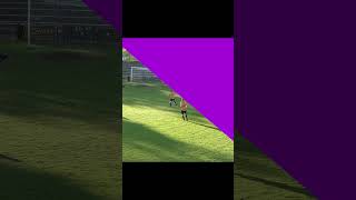 Referee Awards Penalty in Cup Final! | Penalty or No Penalty? | Grassroots Football #shorts