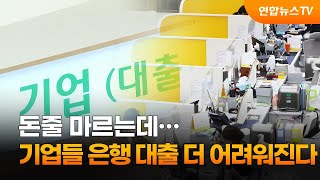 돈줄 마르는데…기업들 은행 대출 더 어려워진다 / 연합뉴스TV (YonhapnewsTV)