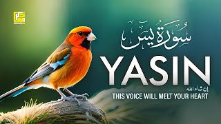 Most Heart Touching Voice Quran Recitation of Surah Ya-Sin (Yaseen) سورة يس ⋮ Zikrullah TV