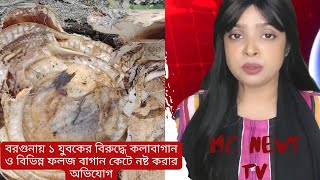 বরগুনায় ১ যুবকের বিরুদ্ধে কলাবাগান  ও বিভিন্ন ফলজ  বাগান কেটে নষ্ট করার অভিযোগ ।#News #mcnewstv24