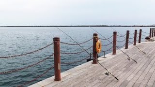 小名浜港で大型の美味しい〇〇が釣れます！