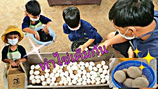 น้องแต๊งค์กิ้ว | กิจกรรมเก็บไข่เป็ด มาทำไข่เค็มเอง ที่ มินิมูร่าห์ฟาร์ม Mini Murrah Farm 2/4 ~EP.97