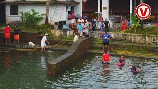 പായല്‍ വളര്‍ന്ന് ഉപയോഗ യോഗ്യശൂന്യമായ മുതുവറ മഹാവിഷ്ണു ക്ഷേത്രക്കുളത്തിൽ ഇനി തെളിനീർ നിറയും