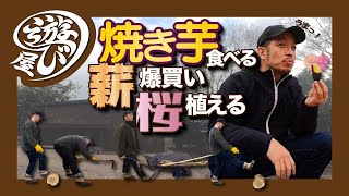 【山づくり#2】焚き火で絶品焼き芋 & 薪爆買い！