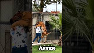 You Can Keep Bengal Tiger as Pet | Nouman Hassan |