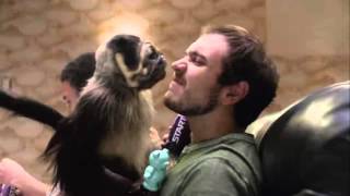 Super Bowl 50 - Mountain Dew: "Puppy Monkey Baby" (2016)