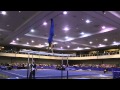 Danell Leyva - Parallel Bars - 2014 Winter Cup Challenge Finals