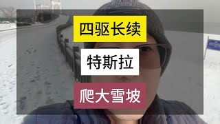 谁说特斯拉不能爬雪坡？谁说下雪就要换雪地胎？#特斯拉