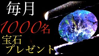 【プレゼント🎁】詳しくは説明欄をチェック！！