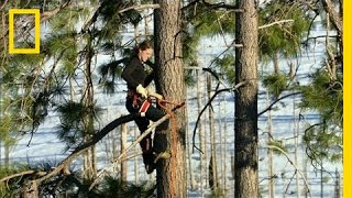 Ryder Scales A Tree Chasing Ufos