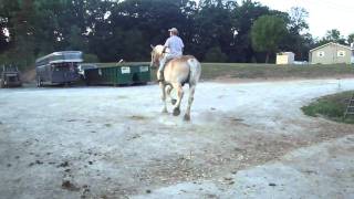 M4H04746.MP4