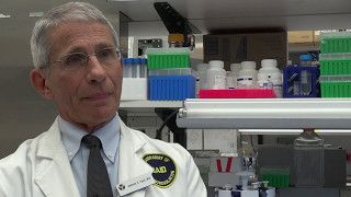 Anthony Fauci Explains Alpha-4 Beta-7 and HIV