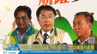 大果文旦何時收購 市長視加工果收購隨時啟動20200812