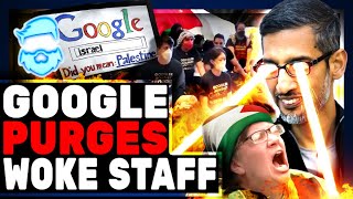 Google Just FIRED Woke Staff & CEO Bans Politics At Work After Massive BACKFIRE!