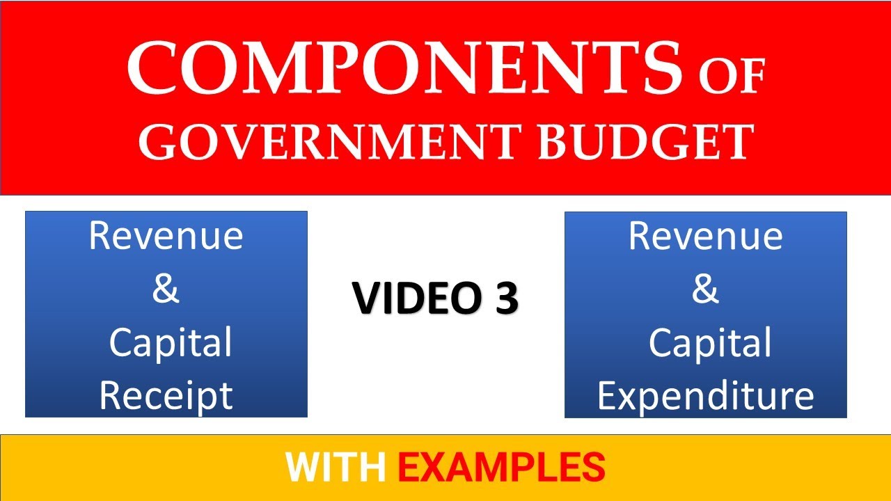 🔴Components Of Government Budget Class 12 | Difference Between Revenue ...