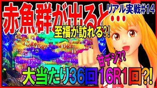 【軍資金20万で100万を目指す】#14◆CR大海物語ブラックライト◆ひさびさの赤魚群!?にびっくり…36回当たっているのに16Rが1回しか出ていない台◆リアル4パチ実践