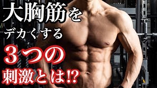 大胸筋を大きくするのに必要な３つの刺激とは！？胸トレを実践しながら解説