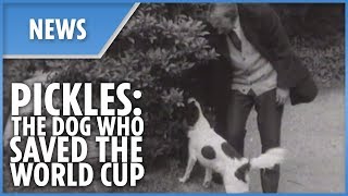 Pickles - The dog who saved the 1966 World Cup