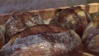 Fabrication du pain au levain et blés anciens - 2) Le levain