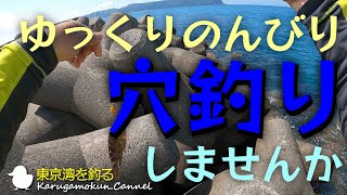 【東京湾を釣る第二十話☆4月上旬】たまにはゆっくり、穴釣るしよう【穴釣り】