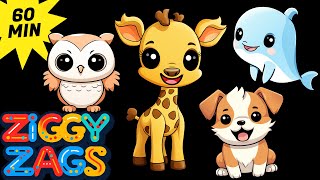 Baby Sensory 😺🐶🐧 Cute Adorable Baby Animals 🐼🐘 Fun Chill Music