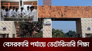 বেসরকারি পর্যায়ে ভেটেরিনারি শিক্ষা | Amar Sangbad