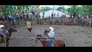 Jaripeo ranchero celebrado en Volador Ixcatepec, Ver