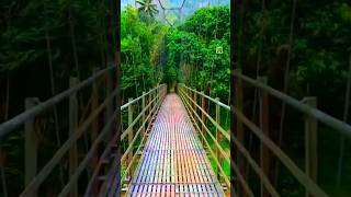 Chembankuzhy Hanging Bridge - Neriamangalam Kattappana road